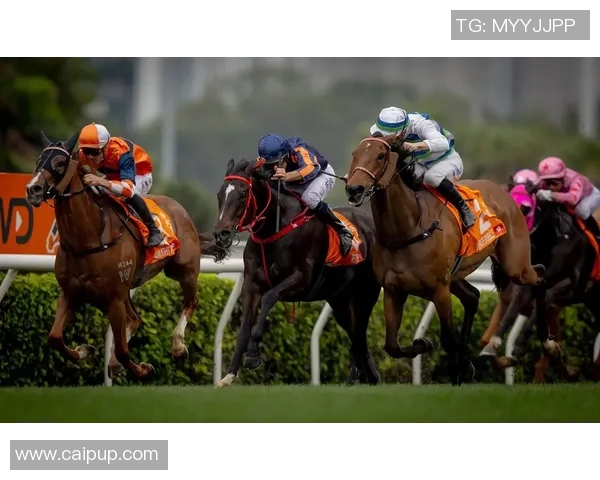 深入探讨香港赛马会资料及其对马匹赛事的影响与发展趋势分析 深入探讨香港赛马会资料及其对马匹赛事的影响与发展趋势分析