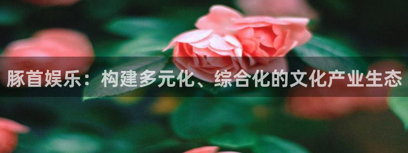 首页华润娱乐：豚首娱乐：构建多元化、综合化的文化产业生态