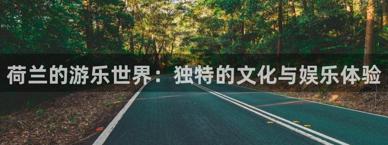 华润娱乐官方网站入口：荷兰的游乐世界：独特的文化与娱乐体验