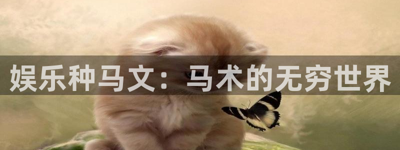 华润娱乐注册链接：娱乐种马文：马术的无穷世界