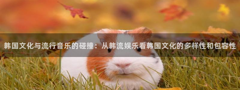 华润娱乐官方网站入口：韩国文化与流行音乐的碰撞：从韩流娱乐看韩国文化的多样性和包容性