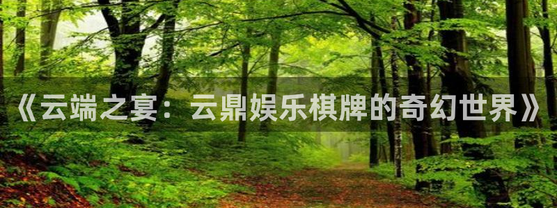 华润娱乐官方网站入口：《云端之宴：云鼎娱乐棋牌的奇幻世界》