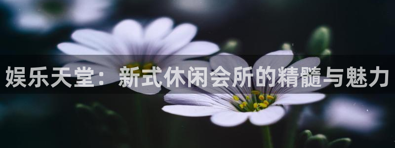 华润娱乐官方网站入口：娱乐天堂：新式休闲会所的精髓与魅力