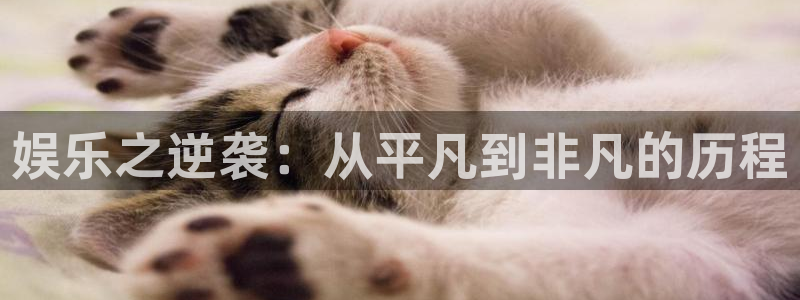 华润娱乐注册链接：娱乐之逆袭：从平凡到非凡的历程