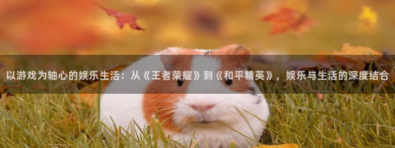 华润娱乐注册链接：以游戏为轴心的娱乐生活：从《王者荣耀》到《和平精英》，娱乐与生活的深度结合
