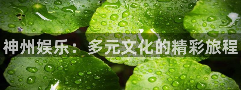 华润娱乐注册链接：神州娱乐：多元文化的精彩旅程