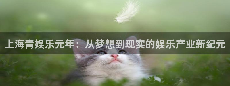 华润娱乐注册链接：上海青娱乐元年：从梦想到现实的娱乐产业新纪元