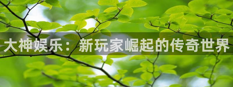 首页华润娱乐：大神娱乐：新玩家崛起的传奇世界