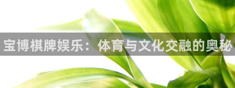 首页华润娱乐：宝博棋牌娱乐：体育与文化交融的奥秘