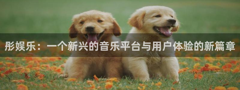 华润娱乐官方网站入口：彤娱乐：一个新兴的音乐平台与用户体验的新篇章