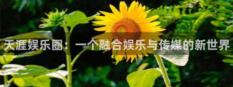 华润娱乐注册链接：天涯娱乐圈：一个融合娱乐与传媒的新世界